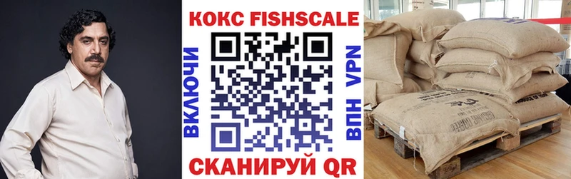 Cocaine Fish Scale  кракен онион  Новая Усмань 