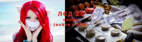Альфа ПВП Верея
