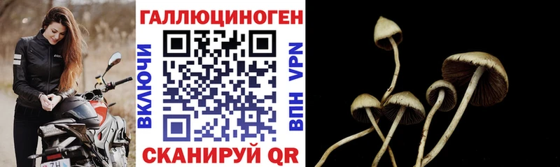 Галлюциногенные грибы Magic Shrooms  blacksprut ТОР  Новая Усмань 